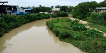 治水攻堅戰 新華街水環境治理進行時——8月30日至9月1日戰報