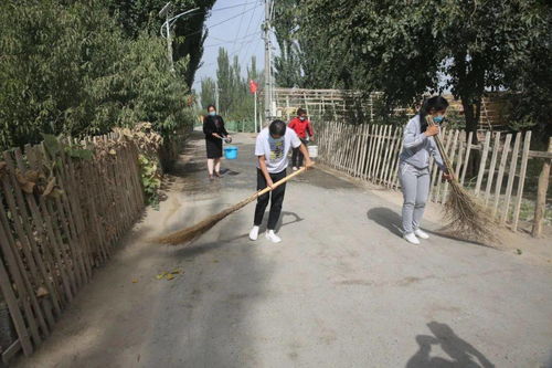 健康防疫 庭院整潔 鄉(xiāng)村環(huán)境優(yōu)化與群眾健康保障