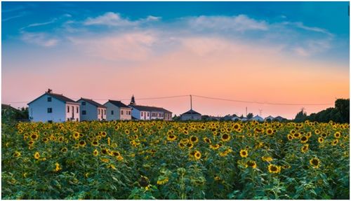 年度環境治理榜單公布 成果、挑戰與展望