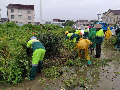 一把掃帚管到底，掃出文明新風(fēng)貌——環(huán)境治理之路