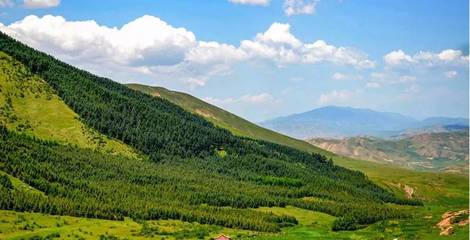 景泰縣多措并舉 繪就生態(tài)宜居新畫卷