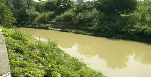 治水攻堅(jiān)戰(zhàn) | 新華街水環(huán)境治理進(jìn)行時(shí)——9月11-13日環(huán)境檢測(cè)服務(wù)戰(zhàn)報(bào)