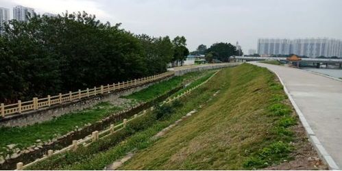 治水攻堅(jiān)戰(zhàn)｜新華街水環(huán)境治理進(jìn)行時(shí)，12月13日戰(zhàn)報(bào)及環(huán)境檢測(cè)服務(wù)動(dòng)態(tài)